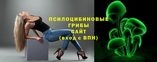 ALPHA PVP Надым