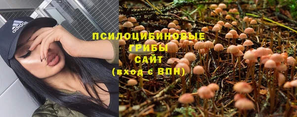 ALPHA PVP Надым