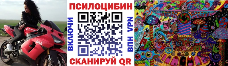 Галлюциногенные грибы Psilocybine cubensis  Покров 