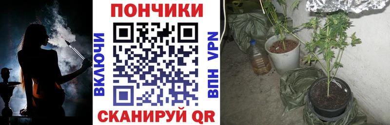 Марихуана индика  Покров 